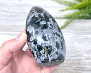 Indigo Gabbro | Mystic Merlinite Freeform #2