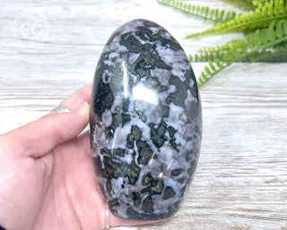 Indigo Gabbro | Mystic Merlinite Freeform #1