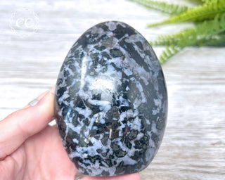 Indigo Gabbro | Mystic Merlinite Freeform #3