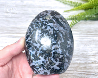 Indigo Gabbro | Mystic Merlinite Freeform #3