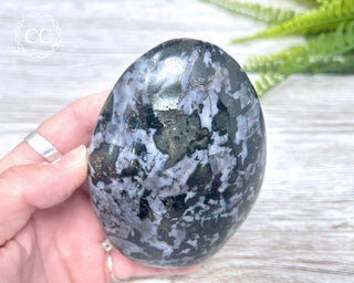 Indigo Gabbro | Mystic Merlinite Freeform #3