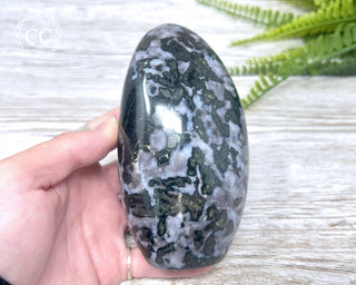 Indigo Gabbro | Mystic Merlinite Freeform #1