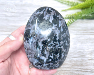 Indigo Gabbro | Mystic Merlinite Freeform #3