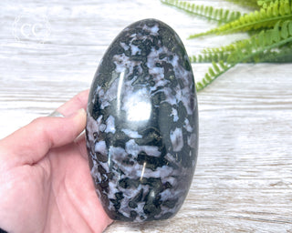 Indigo Gabbro | Mystic Merlinite Freeform #1