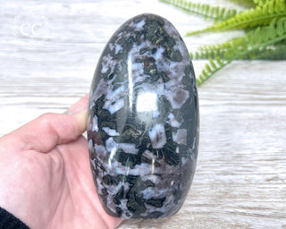 Indigo Gabbro | Mystic Merlinite Freeform #1