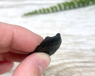 Indochinite Tektite - Vietnam #2