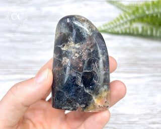 Iolite with Sunstone Freeform #2