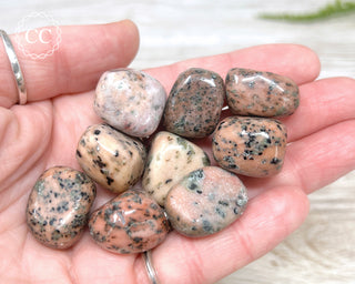 Hand holding a selection of Isla Rosa Tumbled crystals 
