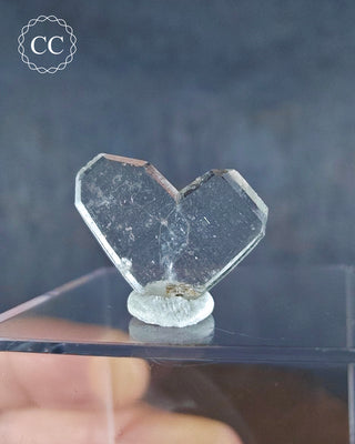 A Japan Law Twin Quartz from Namibia displayed on a clear box 