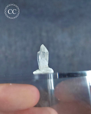 Japan Law Twin Quartz - Namibia #4