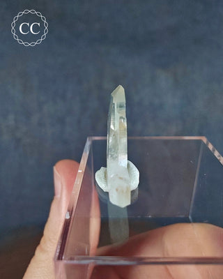 Japan Law Twin Quartz - Namibia #1