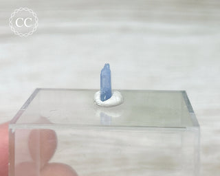 Jeremejevite Crystal #1