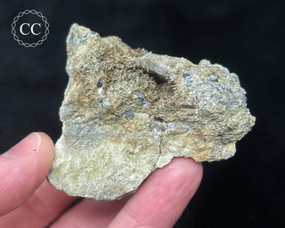 Johannsenite Specimen #1