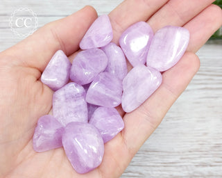 Kunzite A Grade Tumbled Crystals in hand