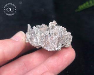 Kutnohorite Specimen #9