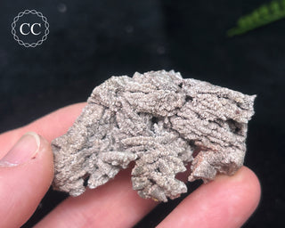 Kutnohorite Specimen #9