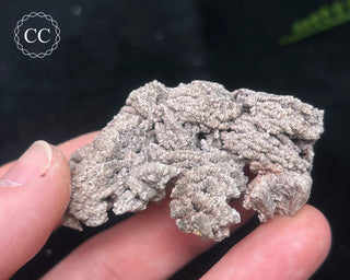 Kutnohorite Specimen #9