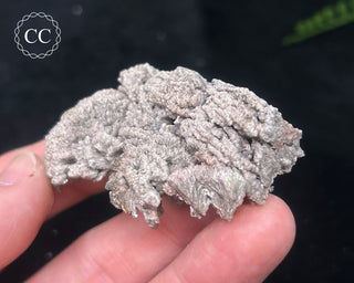 Kutnohorite Specimen #9