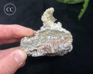 Kutnohorite Specimen #1