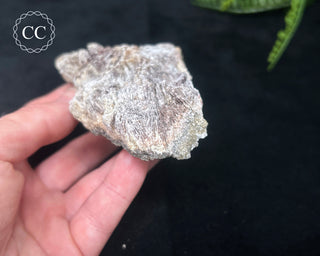 Kutnohorite Specimen #1