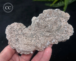 Kutnohorite Specimen #2