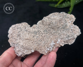 Kutnohorite Specimen #2