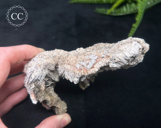 Kutnohorite Specimen #2