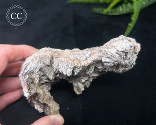Kutnohorite Specimen #2