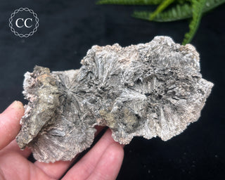 Kutnohorite Specimen #2