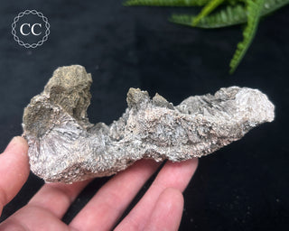 Kutnohorite Specimen #2