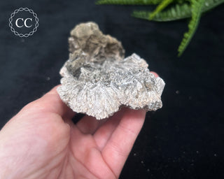 Kutnohorite Specimen #2