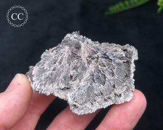 Kutnohorite Specimen #3