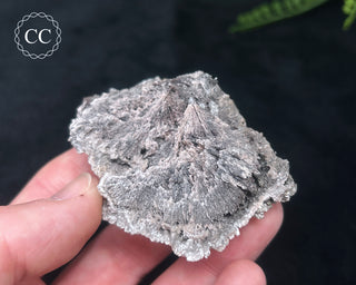 Kutnohorite Specimen #3