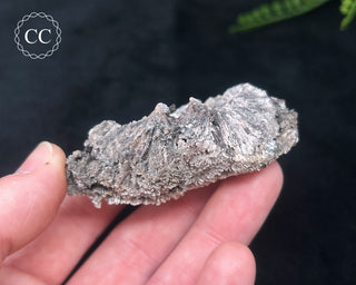 Kutnohorite Specimen #3