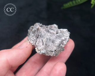 Kutnohorite Specimen #3