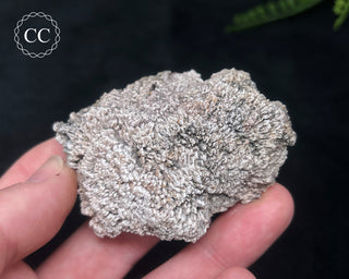 Kutnohorite Specimen #3