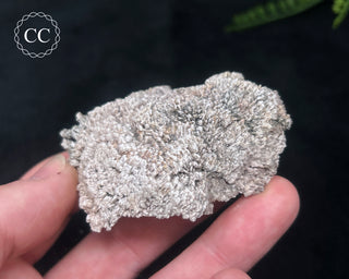 Kutnohorite Specimen #3