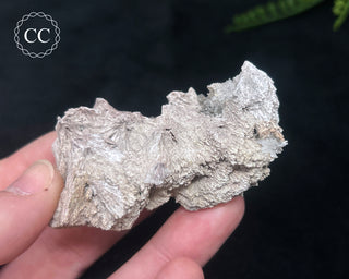 Kutnohorite Specimen #4