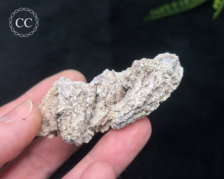 Kutnohorite Specimen #4