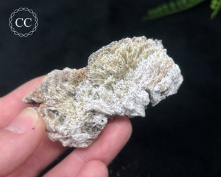 Kutnohorite Specimen #4
