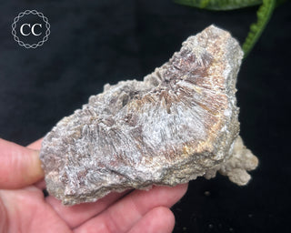 Kutnohorite Specimen #1