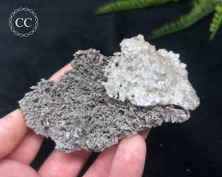 Kutnohorite Specimen #5