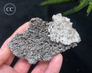 Kutnohorite Specimen #5