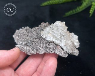 Kutnohorite Specimen #5