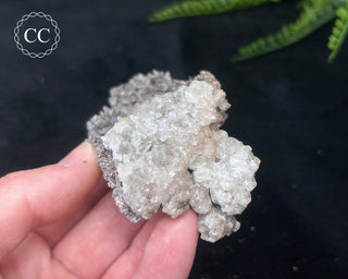 Kutnohorite Specimen #5