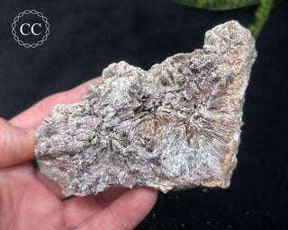 Kutnohorite Specimen #1