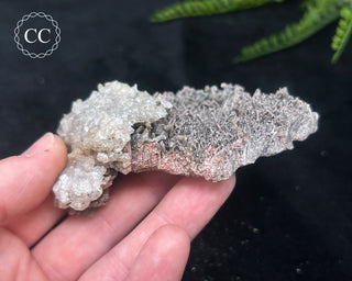 Kutnohorite Specimen #5