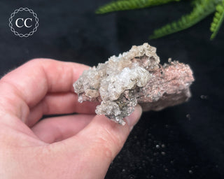 Kutnohorite Specimen #5