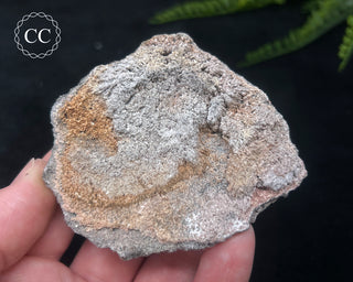 Kutnohorite Specimen #6