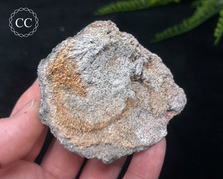 Kutnohorite Specimen #6